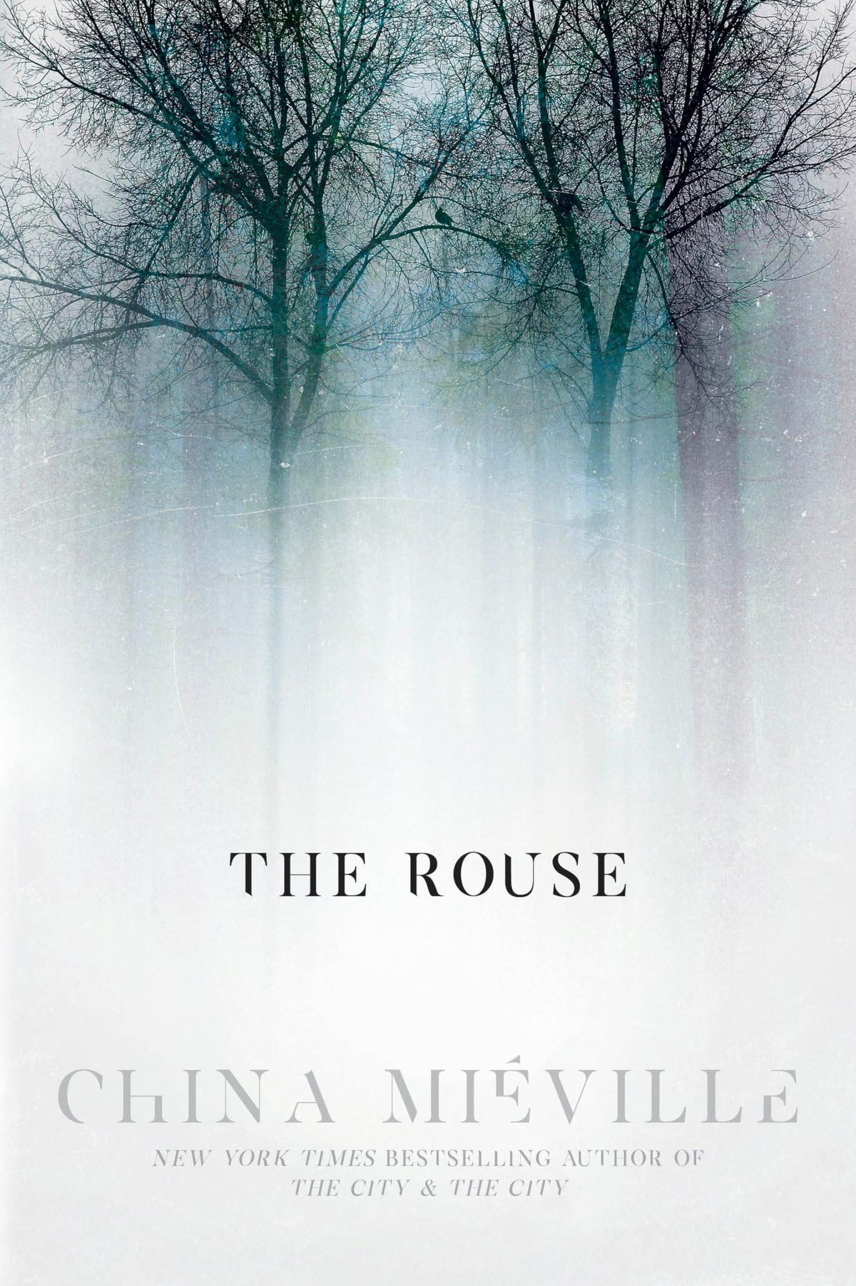 The Rouse